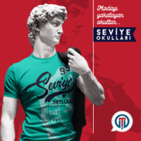 12-d-seviye